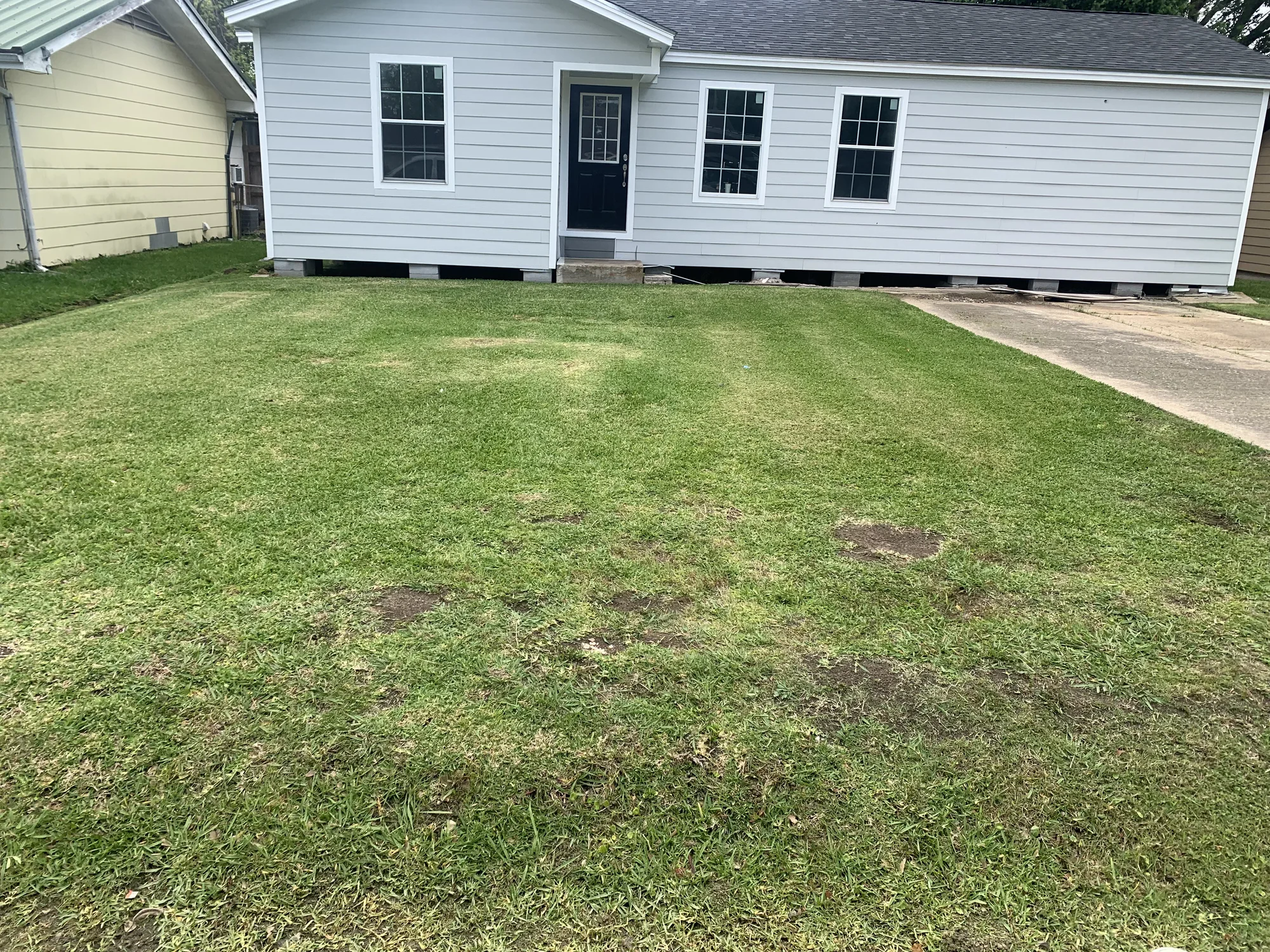 Maintained residential lawn in front of a home