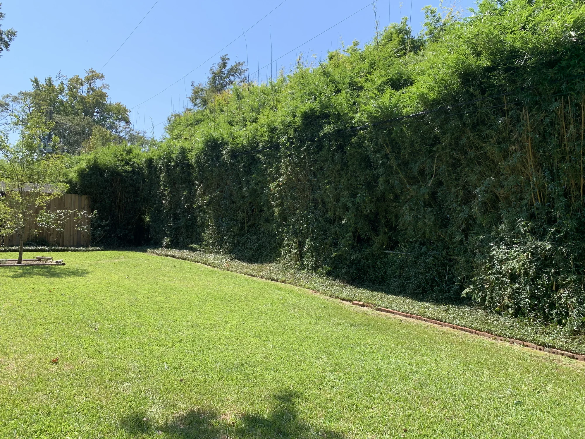 Large maintained lawn bordered by mature greenery